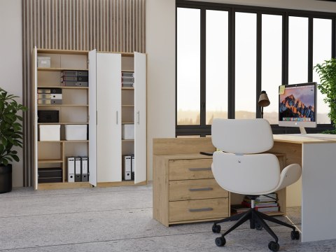 Regał Biurowy OLIV 2D 2 Drzwi Do Biura Do Gabinetu Salonu DĄB ARTISAN BIEL