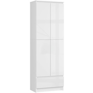 REGAŁ ZAMKNIETY R60 2D 1SZ CLP PK BIAŁY/ BIAŁY POŁYSK
